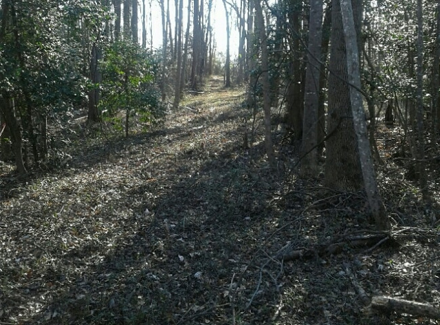 Road Bed